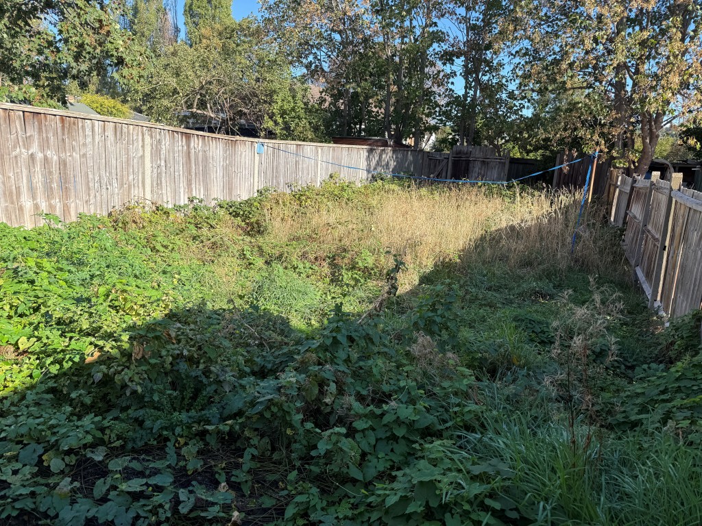 Lot: 70 - GROUND FLOOR FLAT IN CENTRAL LOCATION WITH GARDEN AND PARKING - Overgrown rear garden with wooden fencing